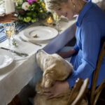 WENN DER GAST AUF VIER PFOTEN KOMMT – HUNDEKOMMUNIKATION FÜR KÜNFTIGE GASTRO- UND HOTELPROFIS